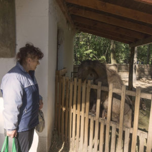 Bagine Mentes Terezia