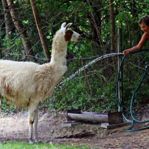 Tothne Bodzsar Adrienn