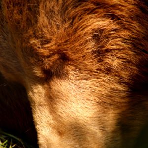 Turuczki Szabolcs Mark