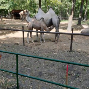 toth.orsolya08@gmail.com