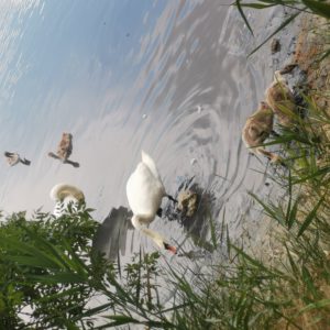 toth.orsolya08@gmail.com