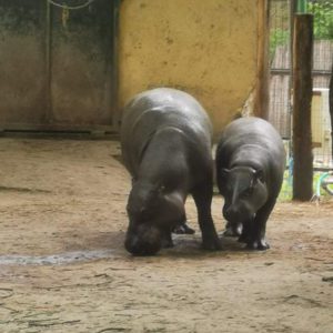 toth.orsolya08@gmail.com