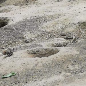 toth.orsolya08@gmail.com