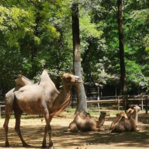 toth.orsolya08@gmail.com