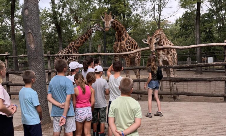 Általános iskola alsó tagozat