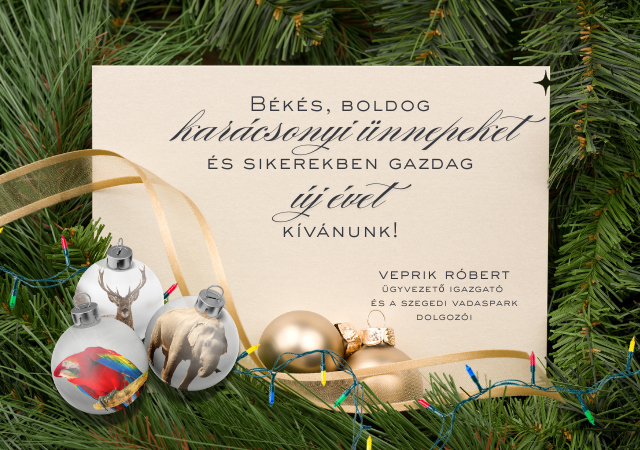 We wish you happy holidays!