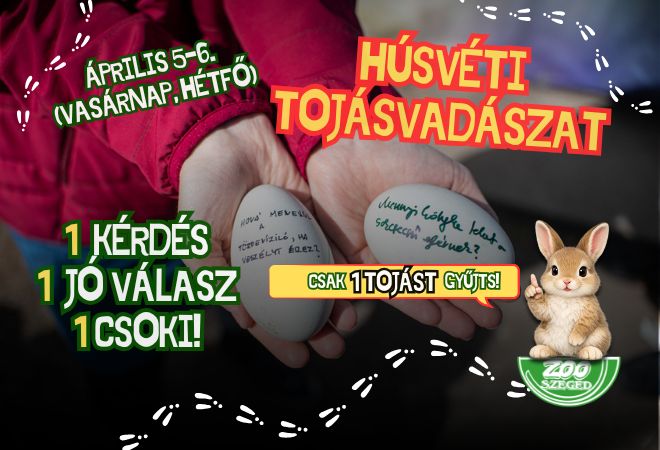 Vigyázz, kész… rajtol a Húsvéti Tojásvadászat!