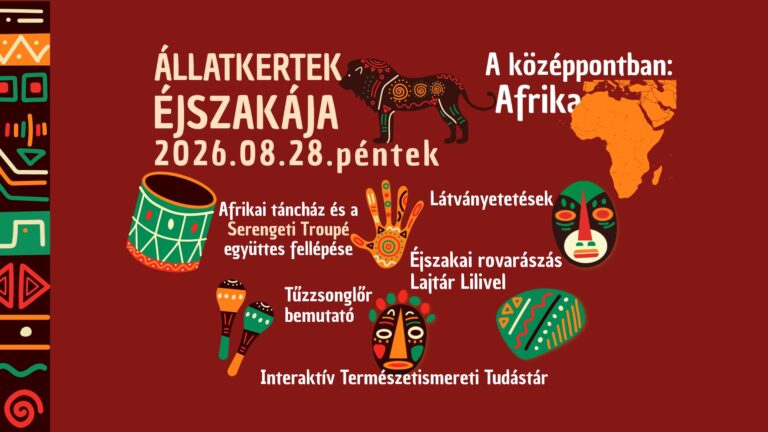 Állatkertek Éjszakája – Afrikával a középpontban