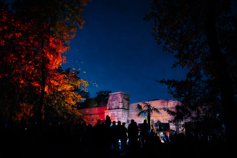 Kop… kop… kop… – A Fekete Agancs rejtélye a Szegedi Vadasparkban